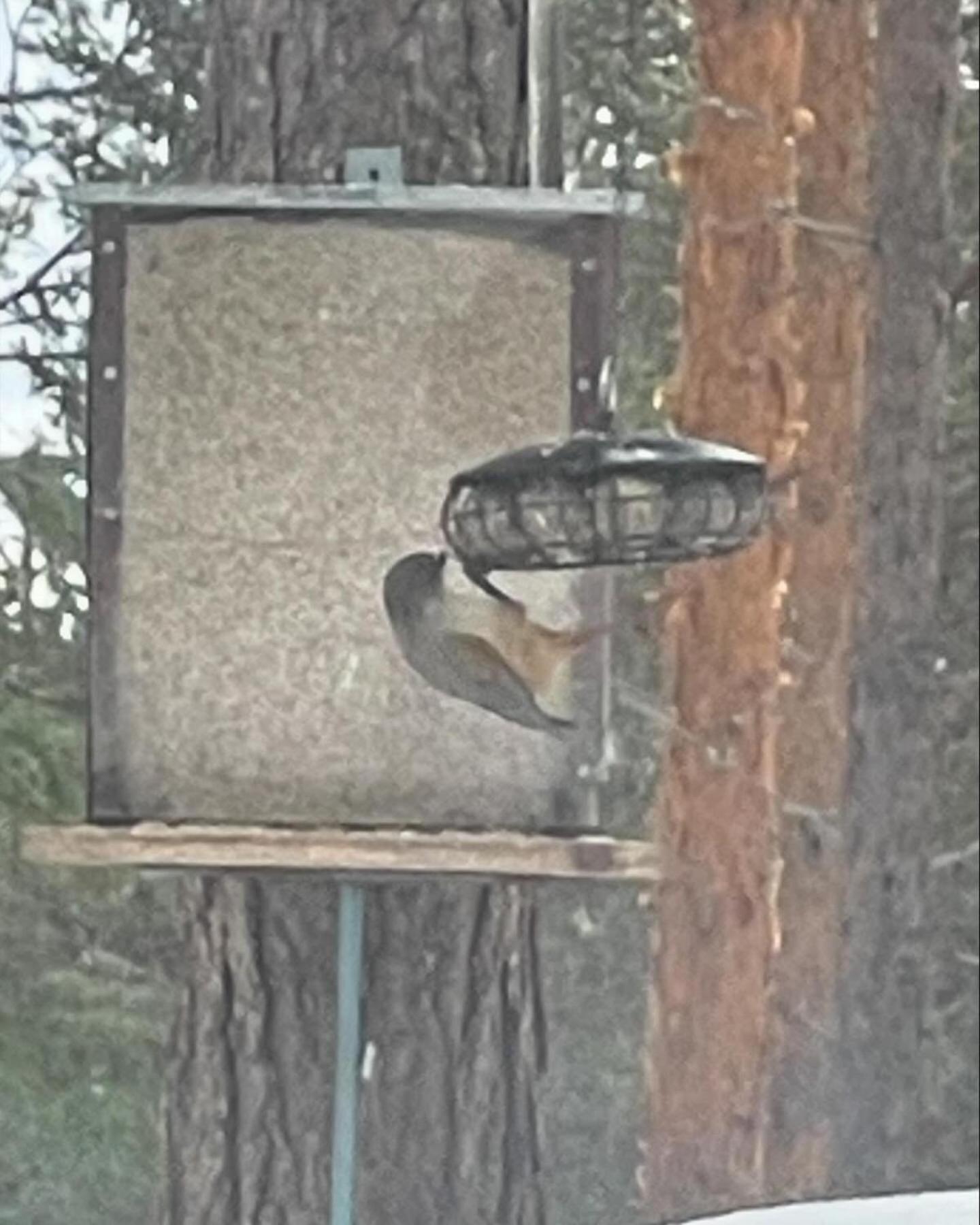 Loppiaiskaari 5, Paljakka Puolanka Extérieur photo