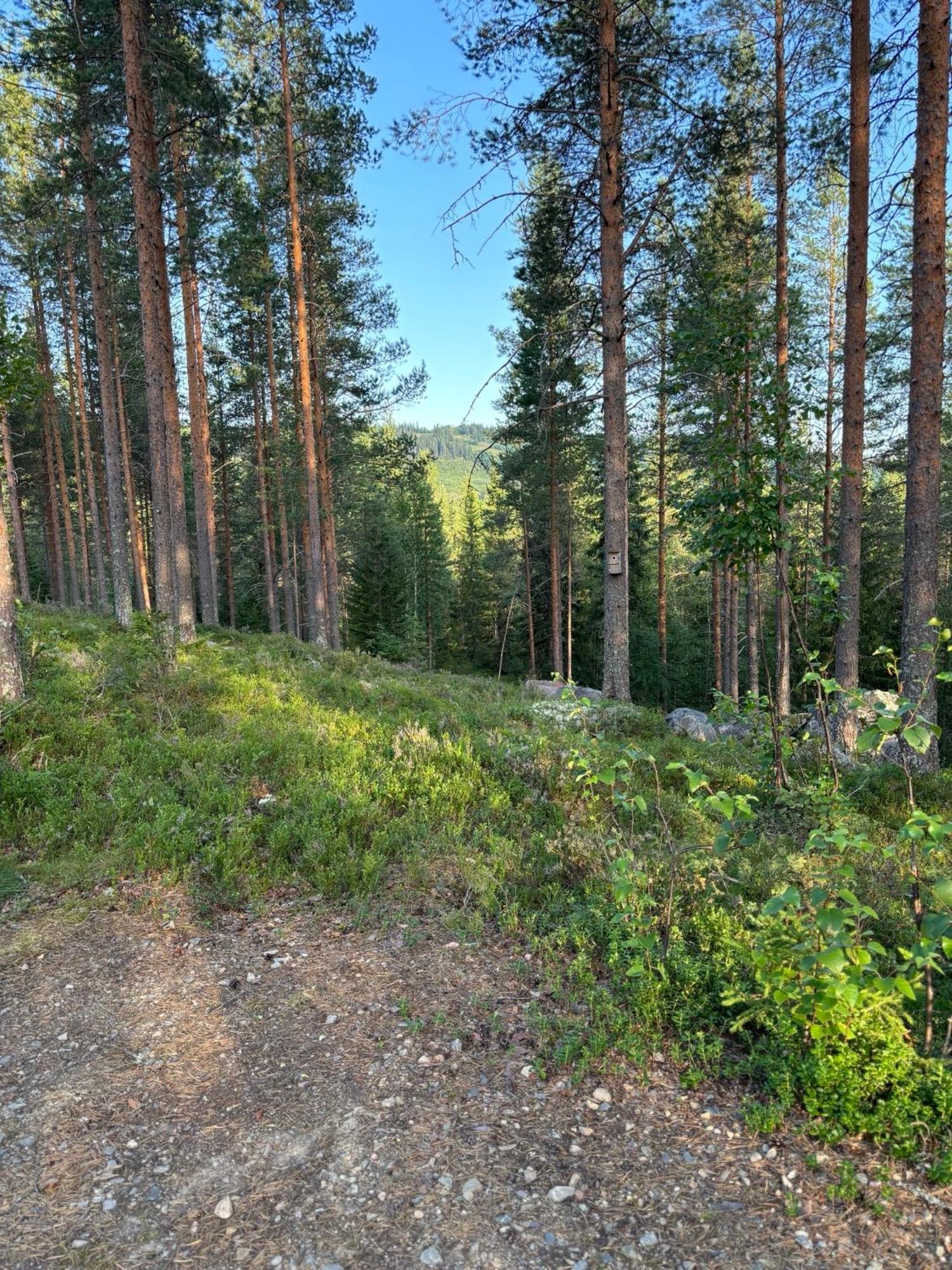 Loppiaiskaari 5, Paljakka Puolanka Extérieur photo