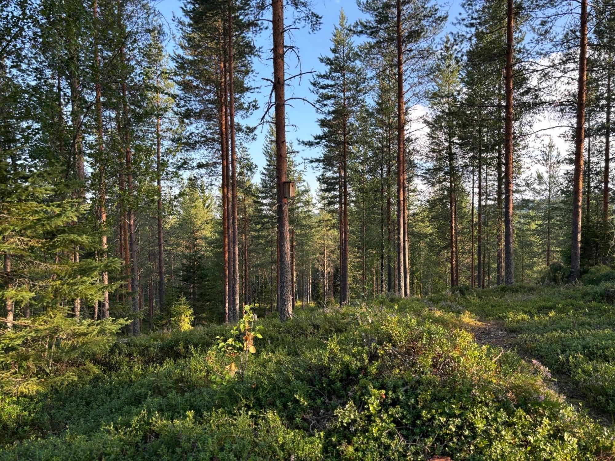 Loppiaiskaari 5, Paljakka Puolanka Extérieur photo