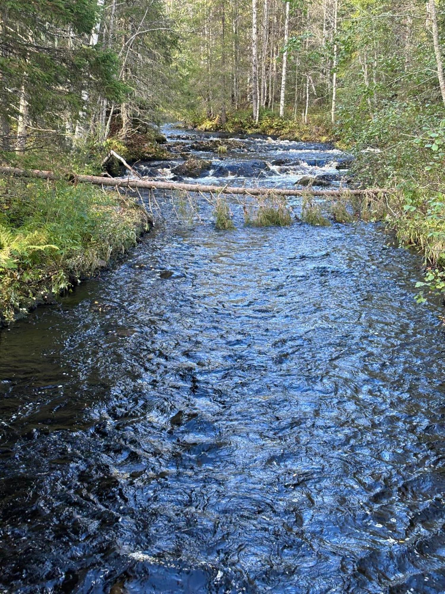 Loppiaiskaari 5, Paljakka Puolanka Extérieur photo